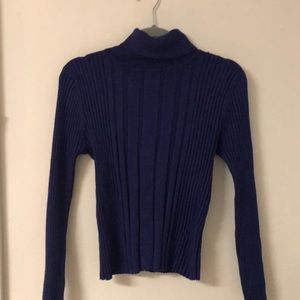 Carolyn Taylor Blue Turtleneck